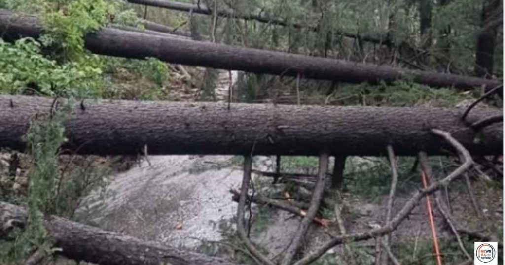 Shimla road block due to rain